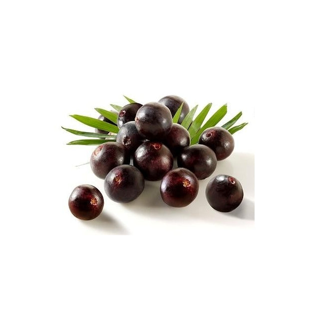 Acai Organico en polvo Liofilizado 110g