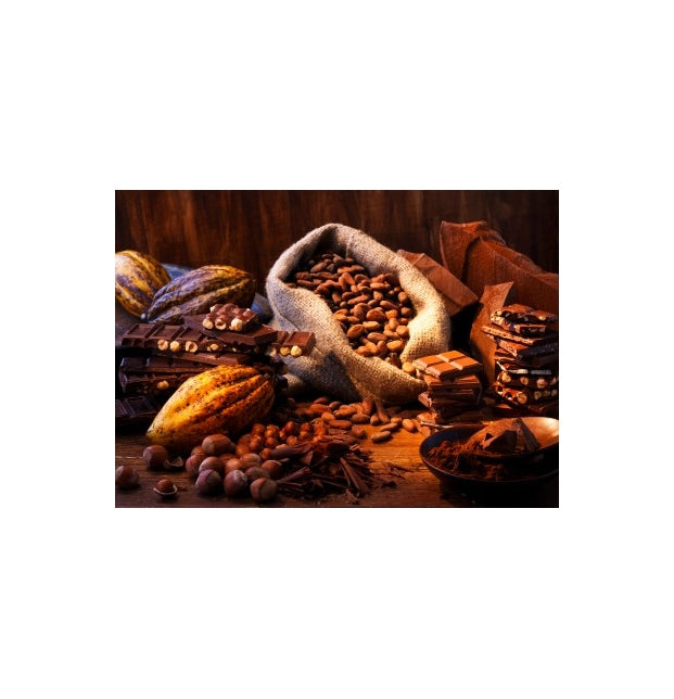Cacao en polvo Organico 350g