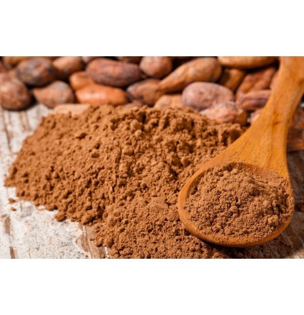 Cacao en polvo Organico 350g