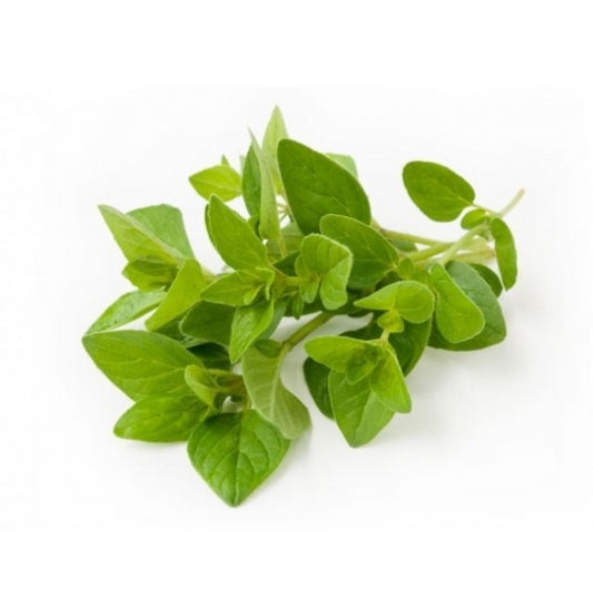 Capsulas de Aceite de Orégano Orgánico Silvestre