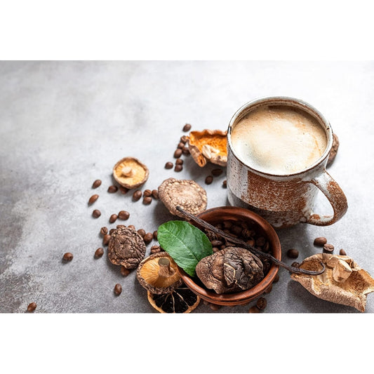 Mezcla de 14 Hongos Adaptógenos Orgánicos extracto en polvo100g