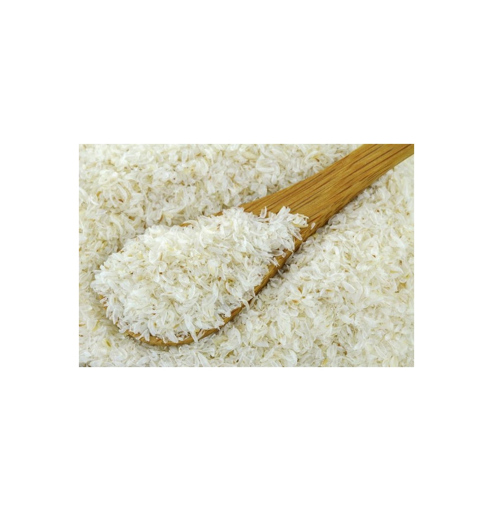 Psyllium Husk entero puro Organico Pantago 200g