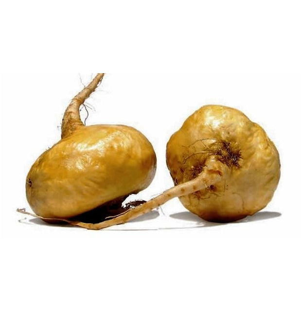 Raíz de Maca Organico Gold en polvo 200g