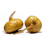 Raíz de Maca Organico Gold en polvo 200g