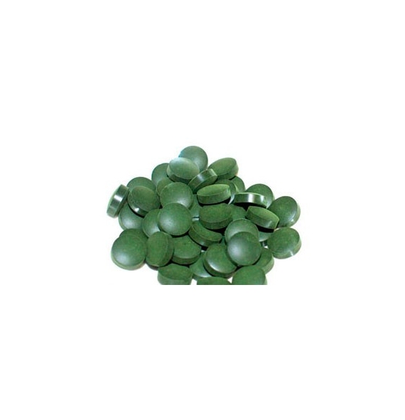 Alga Spirulina